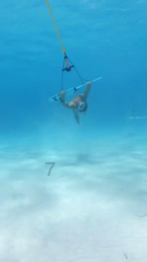 海底世界填颜色5